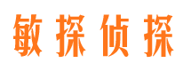 宁河侦探公司